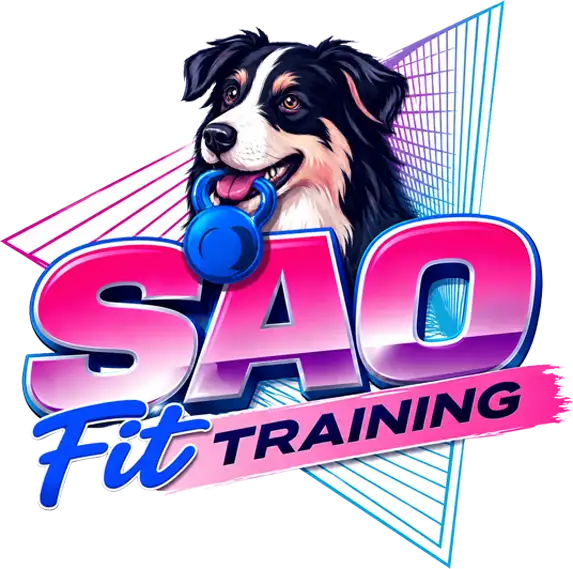SAO Fit Training